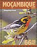 Blackburnian Warbler Setophaga fusca  2016 Warblers Sheet