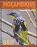 Audubon's Warbler Setophaga auduboni  2016 Warblers Sheet
