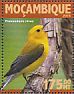 Prothonotary Warbler Protonotaria citrea