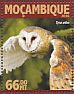 Western Barn Owl Tyto alba  2016 Owls Sheet