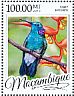 White-vented Violetear Colibri serrirostris  2016 Hummingbirds Sheet