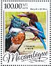 White-throated Kingfisher Halcyon smyrnensis  2016 Kingfishers Sheet
