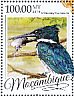Amazon Kingfisher Chloroceryle amazona  2016 Kingfishers Sheet