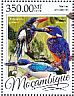 Azure Kingfisher Ceyx azureus  2016 Kingfishers  MS