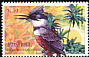 Belted Kingfisher Megaceryle alcyon  2003 Caribbean birds 