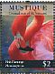 American Flamingo Phoenicopterus ruber  2011 Birds of the Caribbean Sheet