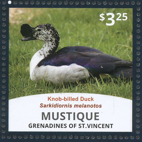 Knob-billed Duck stamps images