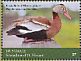 Black-bellied Whistling Duck Dendrocygna autumnalis  2018 Caribbean birds Sheet