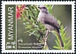 Ayeyarwady Bulbul Pycnonotus blanfordi  2023 Endemic birds 