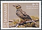 Burmese Bush Lark Mirafra microptera  2023 Endemic birds 