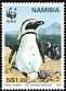 African Penguin Spheniscus demersus  1997 WWF 