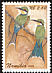 Swallow-tailed Bee-eater Merops hirundineus  2002 Birds of Namibia 