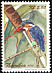 Malachite Kingfisher Corythornis cristatus  2002 Birds of Namibia 