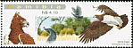 Martial Eagle Polemaetus bellicosus  2009 Eagles of Namibia 