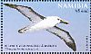 Atlantic Yellow-nosed Albatross Thalassarche chlororhynchos  2011 Endangered marine fauna 8v sheet