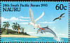 Red-tailed Tropicbird Phaethon rubricauda