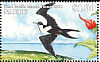 Great Frigatebird Fregata minor