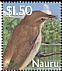 Nauru Reed Warbler Acrocephalus rehsei