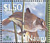 Nauru Reed Warbler Acrocephalus rehsei  2003 BirdLife International Sheet, p 14Â¼