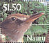 Nauru Reed Warbler Acrocephalus rehsei