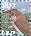 Nauru Reed Warbler  Acrocephalus rehsei