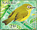 Bridled White-eye Zosterops conspicillatus