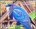 Ultramarine Lorikeet Vini ultramarina  2005 BirdLife International, Parrots Sheet