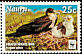 Great Frigatebird Fregata minor  2008 WWF 