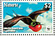 Great Frigatebird  Fregata minor