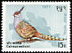 Cheer Pheasant Catreus wallichii  1977 Birds 