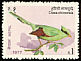 Common Green Magpie Cissa chinensis  1977 Birds 