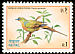 Pin-tailed Green Pigeon Treron apicauda  1992 Birds 