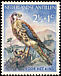 American Kestrel Falco sparverius  1958 Child welfare 