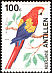 Scarlet Macaw Ara macao  1994 Birds 
