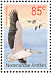 Great White Pelican Pelecanus onocrotalus  2001 Birds Sheet