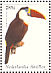 White-throated Toucan Ramphastos tucanus  2002 Birds Sheet