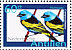 Blue-necked Tanager Stilpnia cyanicollis  2006 Birds Sheet