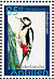 Great Spotted Woodpecker Dendrocopos major  2006 Birds Sheet
