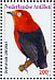 Crimson-hooded Manakin Pipra aureola  2010 Birds Sheet