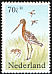 Black-tailed Godwit Limosa limosa  1984 Welfare funds 