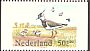 Northern Lapwing Vanellus vanellus  1984 Welfare funds Booklet