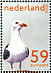 Lesser Black-backed Gull Larus fuscus  2003 The Dutch shallows 4v sheet