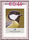 Great Tit Parus major