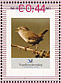 Winter Wren Troglodytes troglodytes