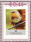European Robin Erithacus rubecula