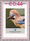 Eurasian Jay Garrulus glandarius