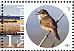 Eurasian Reed Warbler Acrocephalus scirpaceus  2015 Naardermeer 10v sheet