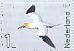 Northern Gannet Morus bassanus  2017 Life in the North Sea Prestige booklet