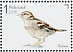House Sparrow Passer domesticus  2019 Gardenbirds Sheet