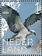 Western Osprey Pandion haliaetus  2020 Birds of prey Sheet, sa
